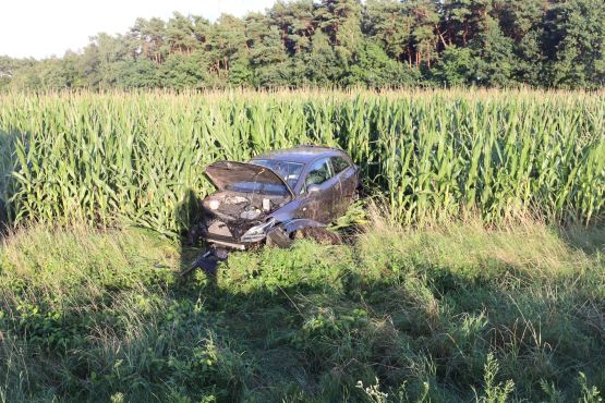 Endstand
